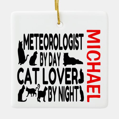 Meteorologist Loves Cats CUSTOM Ceramic Ornament