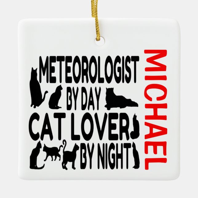 Meteorologist Loves Cats CUSTOM Ceramic Ornament (Front)