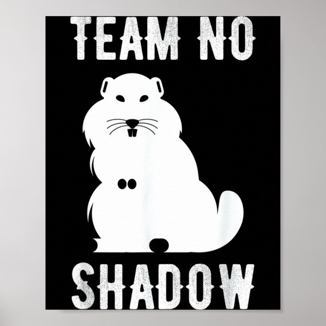 Meteorology Funny Team No Shadow Groundhog 2022 _2 Poster (Front)