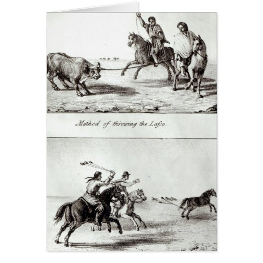 Methods of Throwing the Lasso and the Bolas Cards (Front)