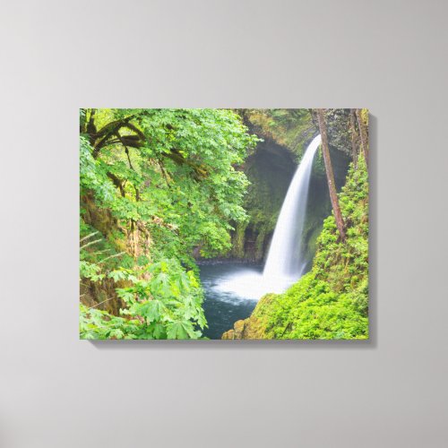 Metlako Falls Canvas Print