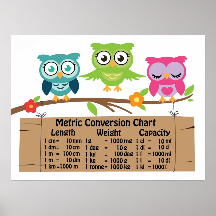 Metric Conversion Chart For Kids Zazzle Com