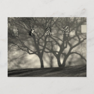Metropolitan Shadows Postcard