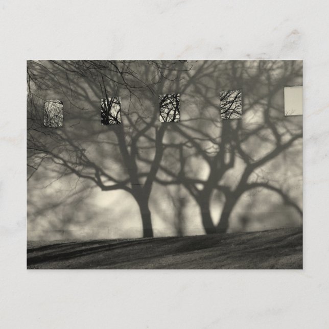 Metropolitan Shadows Postcard (Front)