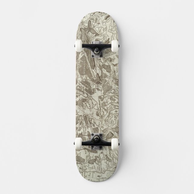 Metz Skateboard Deck (Front)