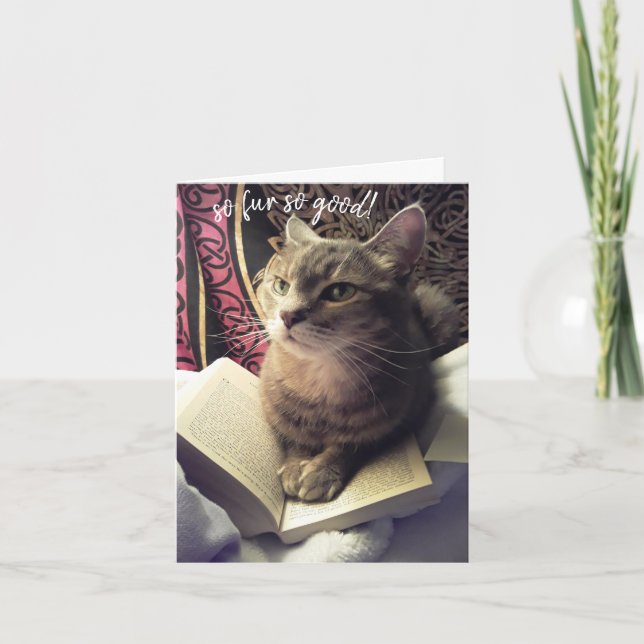 Mew Did it! Cat Pun Studying Graduation Card (Front)