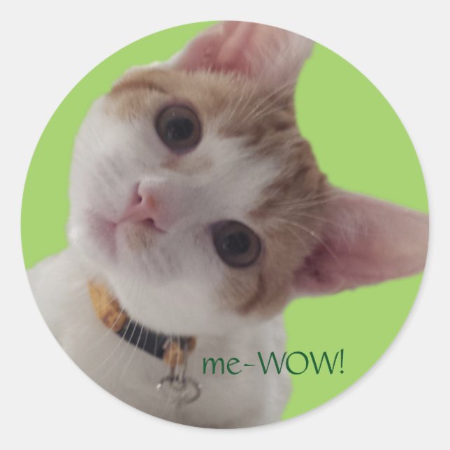 meWOW Curious Cat Good Job Customizable Sticker (Front)
