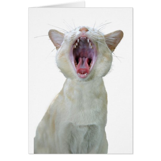 Mewsician birthday card