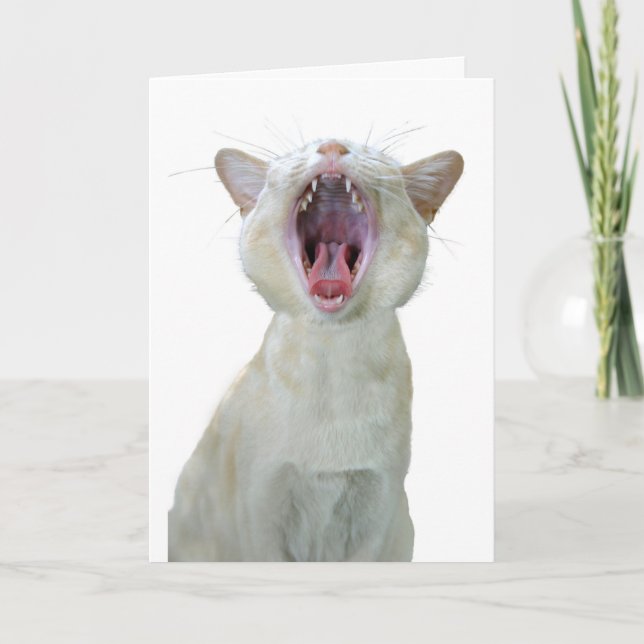 Mewsician birthday card (Front)