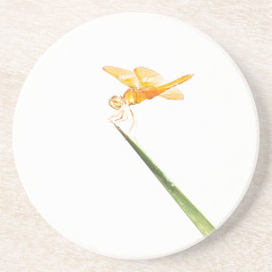 Mexican amber-wing Dragonfly Coaster