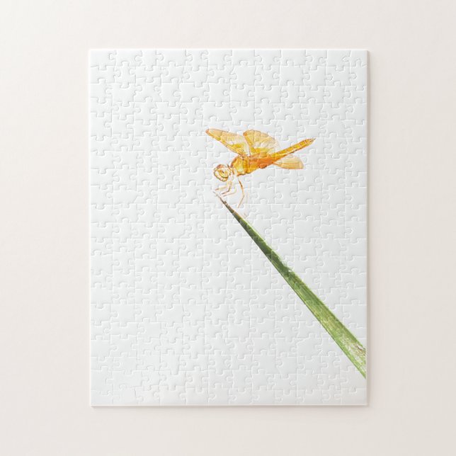 Mexican amber-wing jigsaw puzzle (Vertical)
