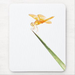 Mexican amber-wing mouse pad