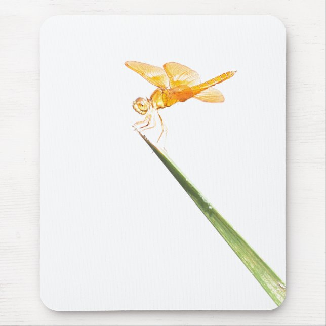 Mexican amber-wing mouse pad (Front)