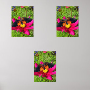 Mexican aster flower with a Doris Longwing Wall Art Sets
