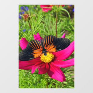 Mexican aster flower with a Doris Longwing Wall Decal