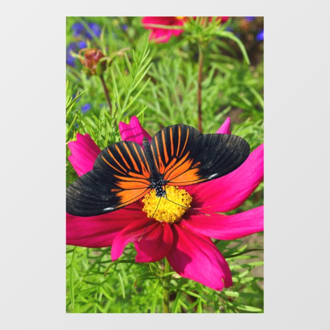 Mexican aster flower with a Doris Longwing  Wall Decal (Front)