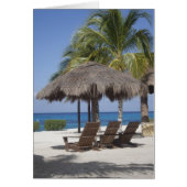 Mexican Beach Paradise (Front)