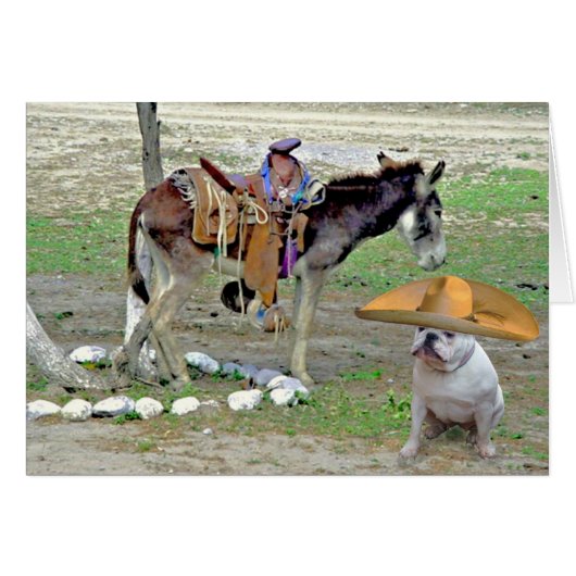 Mexican Bulldog Cards (Front Horizontal)