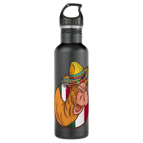 Mexican Camel Hat Sombrero Funny Camel Life Mexico Stainless Steel Water Bottle