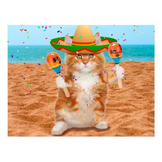 Mexican cat cat with maracas beach postcard