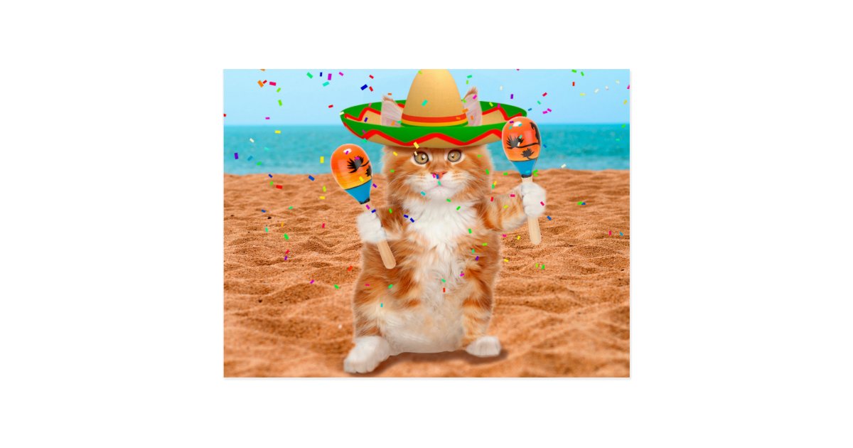 Mexican Cat Cat With Maracas Beach Postcard Zazzle Com