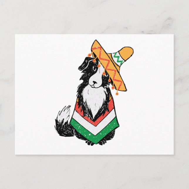 Mexican Dog Sombrero And Poncho Cinco De Mayo Postcard (Front)