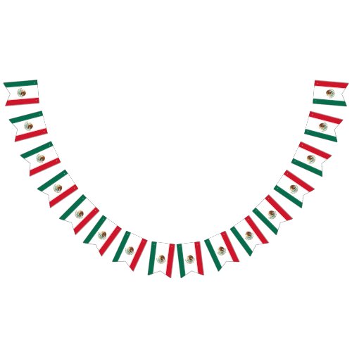 Mexican flag banner