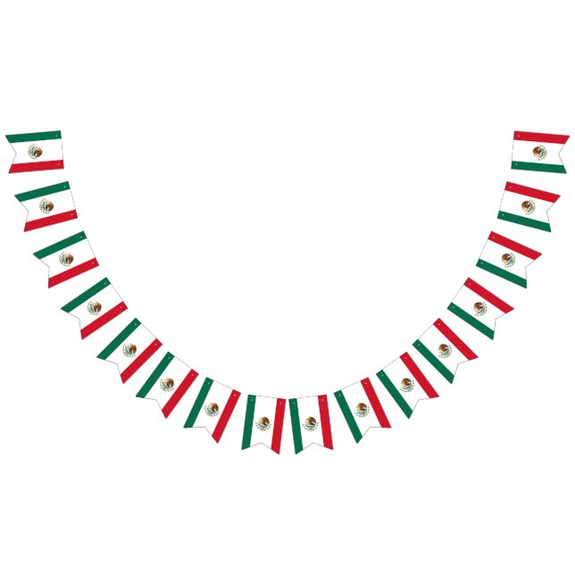 Mexican flag banner (All)