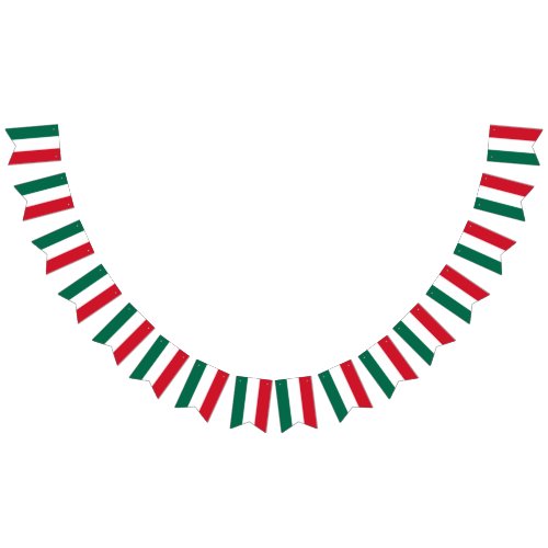Mexican flag banner