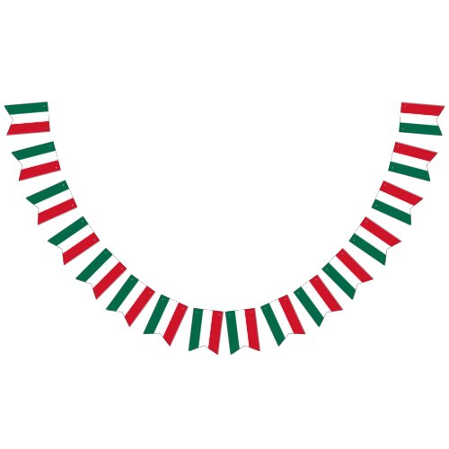 Mexican Flag colored Bunting Banner