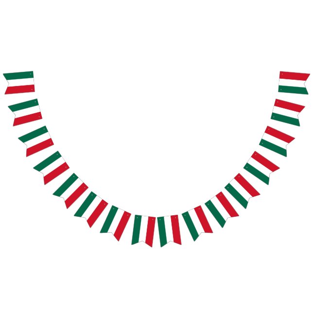 Mexican Flag colored Bunting Banner (All)
