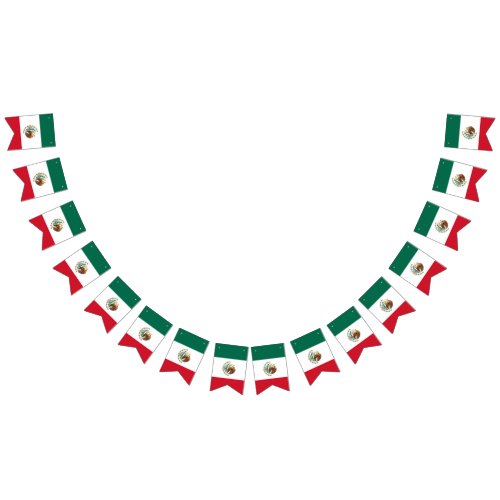 Mexican Flag _ Flag of Mexico