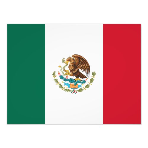 Mexican Flag _ Flag of Mexico Photo Print