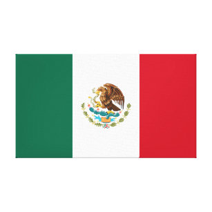 Mexican Flag (Mexico) Canvas Print