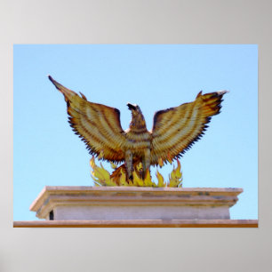 Mexican golden eagle poster