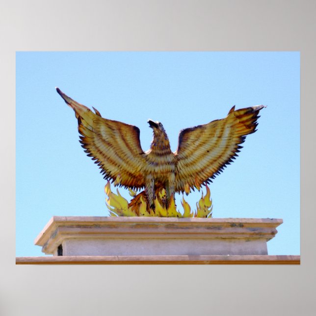 Mexican golden eagle poster (Front)