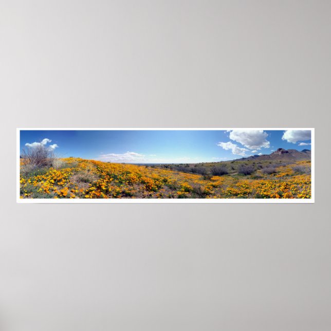 Mexican Golden Poppies - Franklin Mountains Poster (Front)