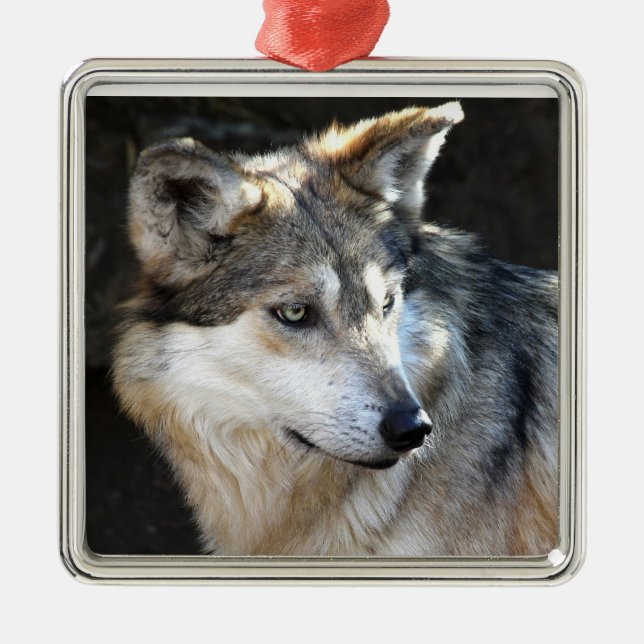 Mexican Gray Wolf Metal Ornament (Front)