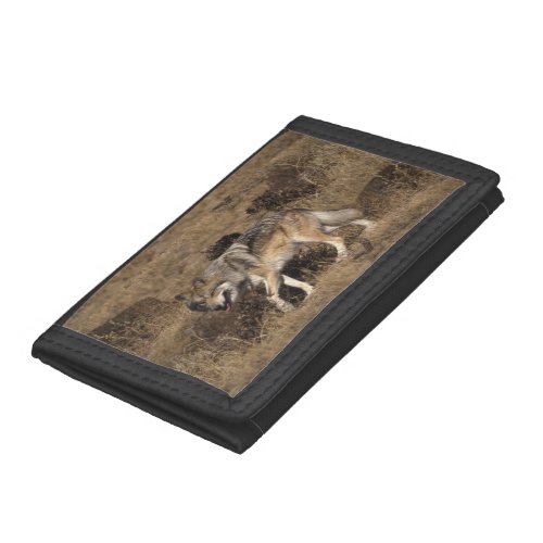 Mexican Gray Wolf _ Timber Wolf Trifold Wallet