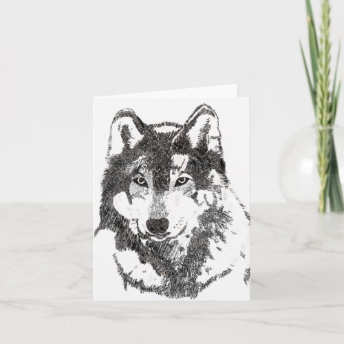 Mexican Grey Wolf Card