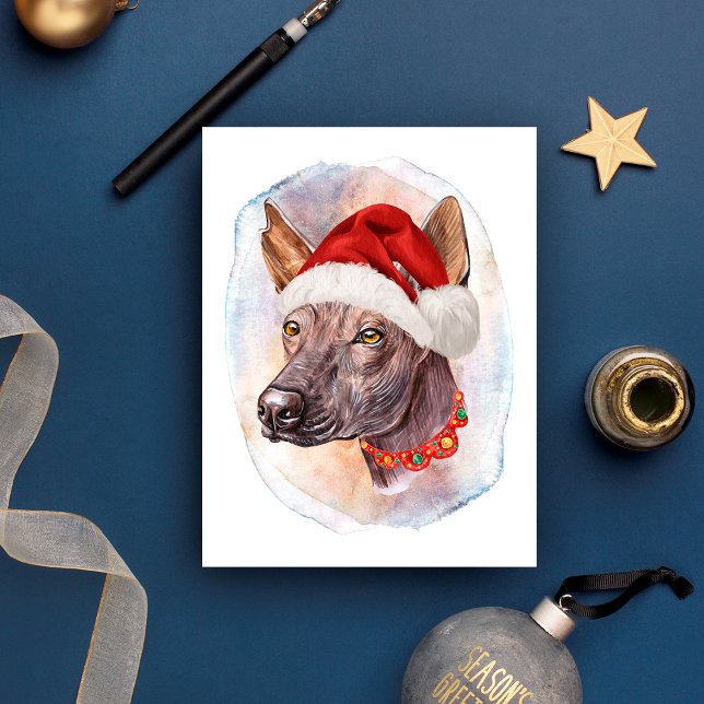 Mexican Hairless Christmas Gifts For Dogs Lovers Holiday Postcard (Creator Uploaded)