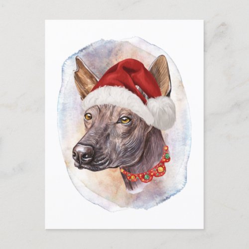 Mexican Hairless Christmas Gifts For Dogs Lovers Holiday Postcard