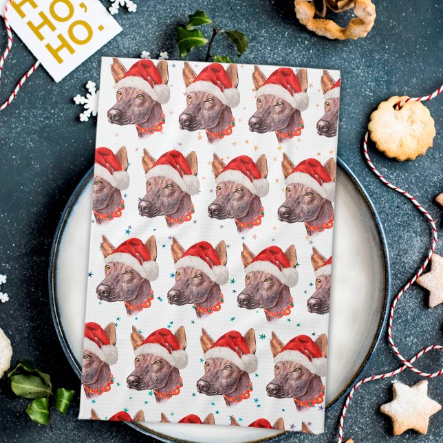 Mexican Hairless Dog Breed Christmas Stars Kitchen Towel (Creator Uploaded)