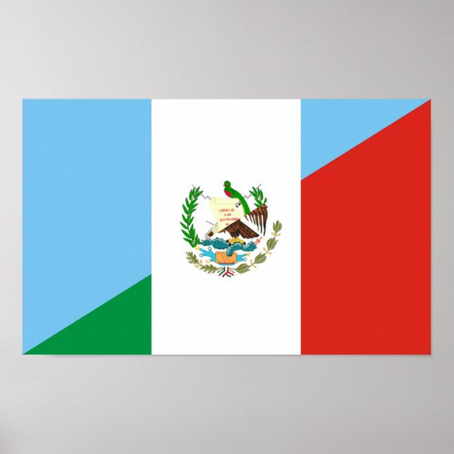mexican hobby half flag poster (Front)