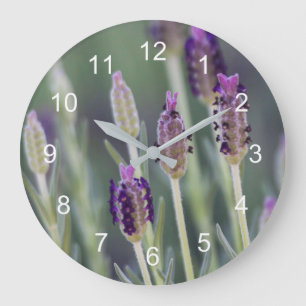 Mexican Lavender Large Clock