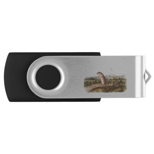 Mexican Marmot Squirrel Camping Deco Gifts Flash Drive