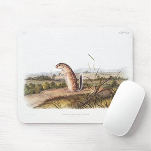 Mexican Marmot Squirrel Camping Deco Gifts Mouse Pad