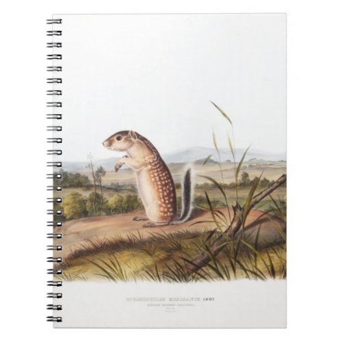 Mexican Marmot Squirrel Camping Deco Gifts Notebook