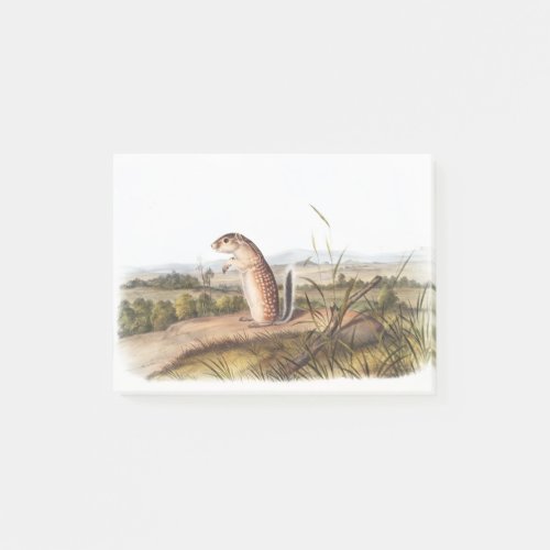 Mexican Marmot Squirrel Camping Deco Gifts Post_it Notes