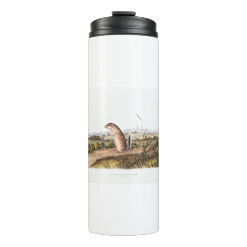 Mexican Marmot Squirrel Camping Deco Gifts Thermal Tumbler